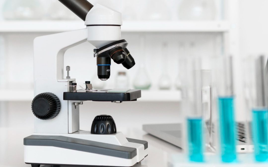 The Importance of Regular Health Check-ups: Taking Charge of Your Well-being